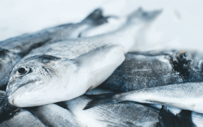 What the Loaves and Fishes Mean for Us Today