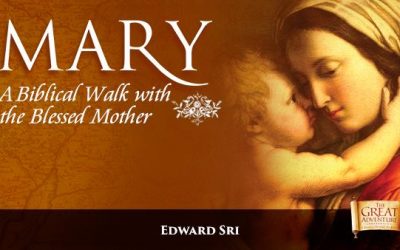 A Biblical Walk with Mary at St. Francis of Assisi Church, Mill Park VIC