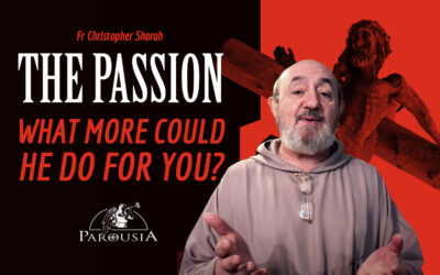 The Passion: What More Could He Do For You? | Fr Christopher Sharah FSF