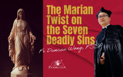 The Marian Twist on the Seven Deadly Sins | Fr Duncan Wong, FSSP